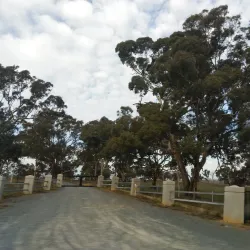 Sutton Village - Sutton