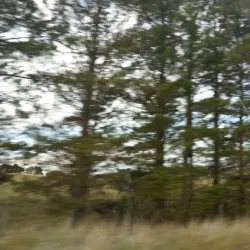 Sutton Village - Sutton