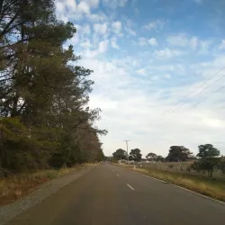 Sutton Village - Sutton