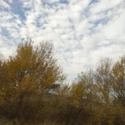 Sutton Village - Sutton