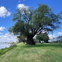 Lake Boga Flying Boat Museum - Swan Hill