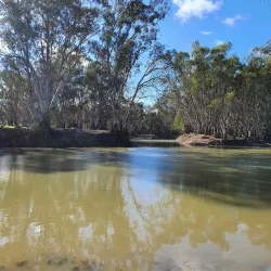 Murray River - Swan Hill