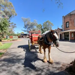 Pioneer Settlement Steam Train - Swan Hill