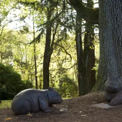 Swan Hill Botanic Gardens - Swan Hill