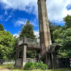 Swan Hill Botanic Gardens - Swan Hill