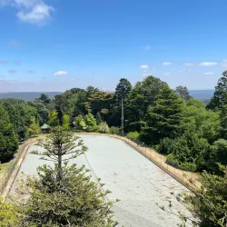 Swan Hill Botanic Gardens - Swan Hill