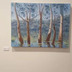 Swan Hill Regional Art Gallery - Swan Hill