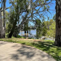 Swan Hill Wharf - Swan Hill