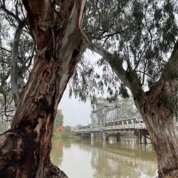 Swan Hill Wharf - Swan Hill