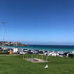 Bondi Beach - Sydney