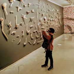 Museum of Contemporary Art Australia (MCA) - Sydney