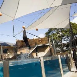 Taronga Zoo Sydney - Sydney