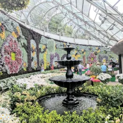 The Royal Botanic Garden Sydney - Sydney