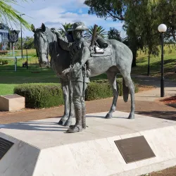 Bicentennial Park - Tamworth