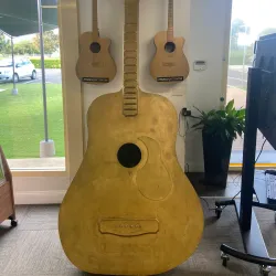 Golden Guitar - Tamworth