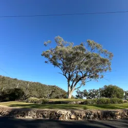 Oxley Lookout - Tamworth