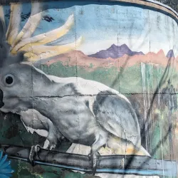 Oxley Lookout - Tamworth