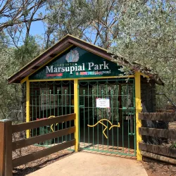 Tamworth Marsupial Park - Tamworth