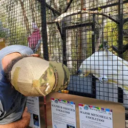 Tamworth Marsupial Park - Tamworth