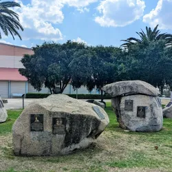 Tamworth Regional Entertainment Centre (TRECC) - Tamworth