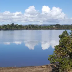 Manning River - Taree