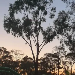 Wyndham Park - Tarneit