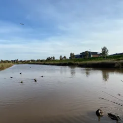 Wyndham Vale Wetlands - Tarneit