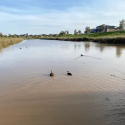 Wyndham Vale Wetlands - Tarneit