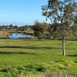Wyndham Vale Wetlands - Tarneit