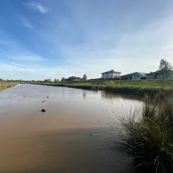 Wyndham Vale Wetlands - Tarneit