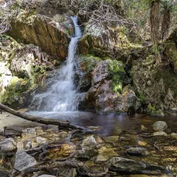 Cradle Mountain-Lake St Clair National Park - Tasmania