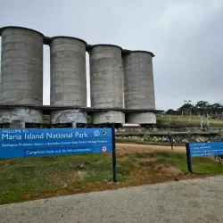 Maria Island National Park - Tasmania