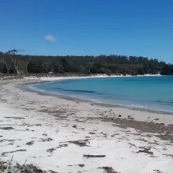 Maria Island National Park - Tasmania