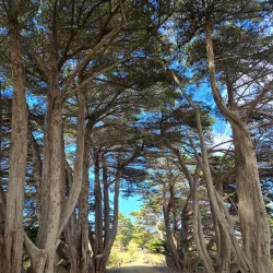 Maria Island National Park - Tasmania