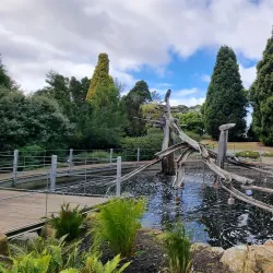 Royal Tasmanian Botanical Gardens - Tasmania
