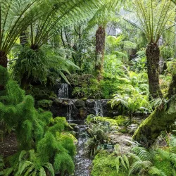 Royal Tasmanian Botanical Gardens - Tasmania