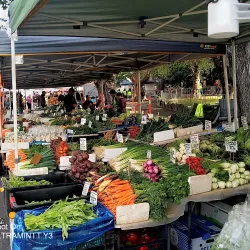 Salamanca Market - Tasmania