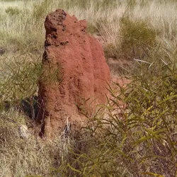 Jurnkurakurr Cultural Walk - Tennant Creek