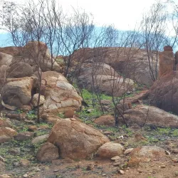 Jurnkurakurr Cultural Walk - Tennant Creek