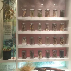 Nyinkka Nyunyu Art and Culture Centre - Tennant Creek