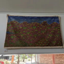 Nyinkka Nyunyu Art and Culture Centre - Tennant Creek