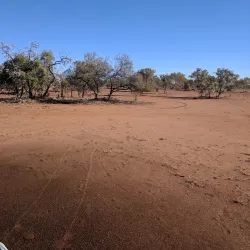 Tennant Creek Golf Club - Tennant Creek