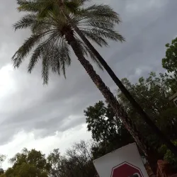 Tennant Creek Golf Club - Tennant Creek