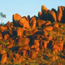 Tennant Creek Visitor Information Centre - Tennant Creek