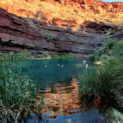 Dales Gorge - Tom Price