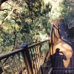 Dales Gorge - Tom Price