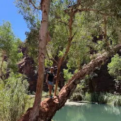 Dales Gorge - Tom Price