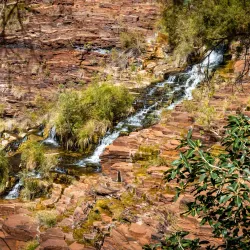 Dales Gorge - Tom Price