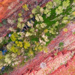 Dales Gorge - Tom Price