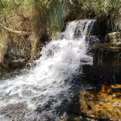 Dales Gorge - Tom Price